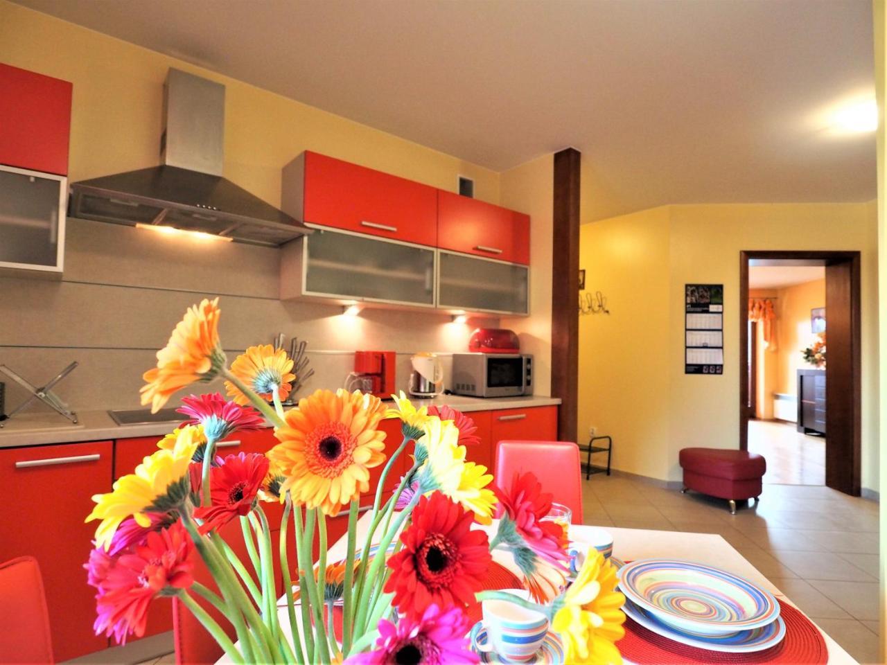 Apartmán Apartament Widokowy Maki Zakopane Exteriér fotografie